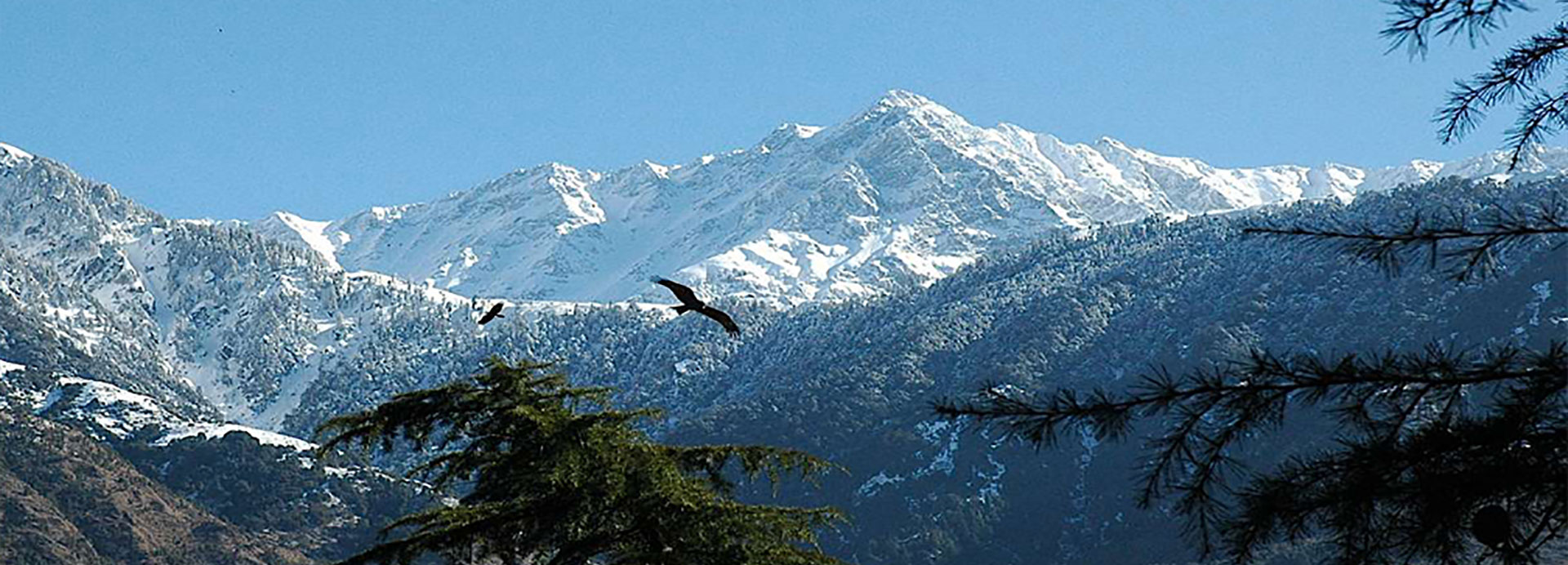 About Himachal